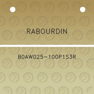 rabourdin-b0aw025-100p1s3r