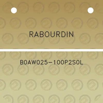 rabourdin-b0aw025-100p2s0l