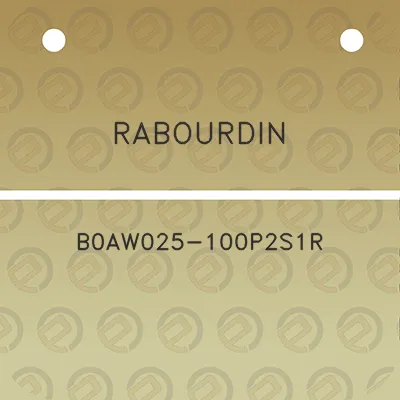 rabourdin-b0aw025-100p2s1r