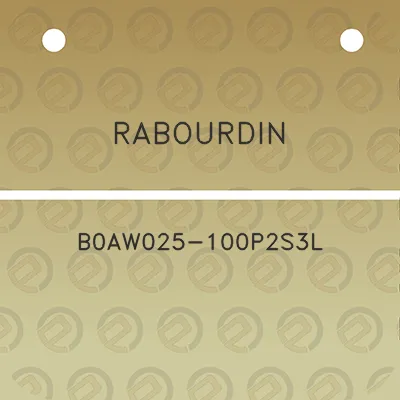 rabourdin-b0aw025-100p2s3l