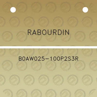 rabourdin-b0aw025-100p2s3r