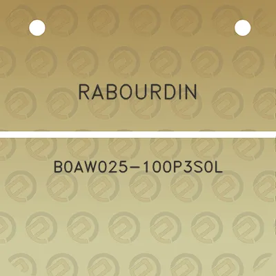 rabourdin-b0aw025-100p3s0l