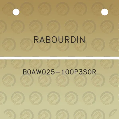 rabourdin-b0aw025-100p3s0r