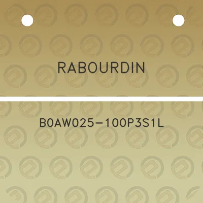 rabourdin-b0aw025-100p3s1l