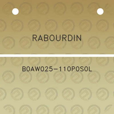 rabourdin-b0aw025-110p0s0l