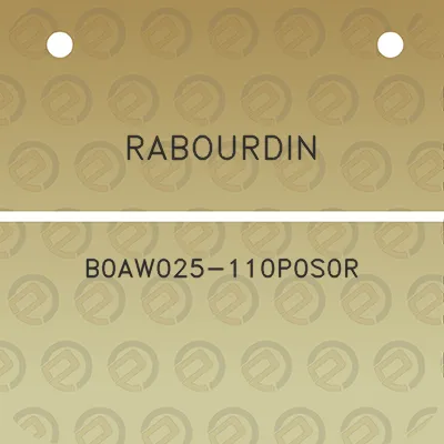 rabourdin-b0aw025-110p0s0r