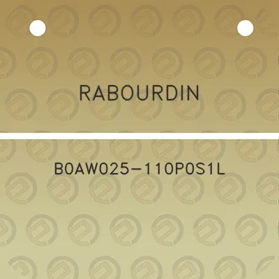 rabourdin-b0aw025-110p0s1l