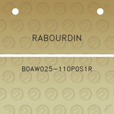 rabourdin-b0aw025-110p0s1r