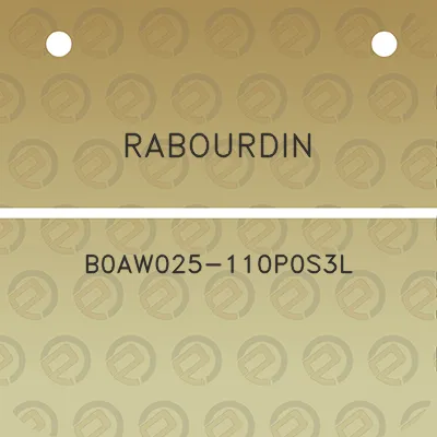 rabourdin-b0aw025-110p0s3l