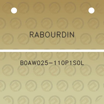 rabourdin-b0aw025-110p1s0l