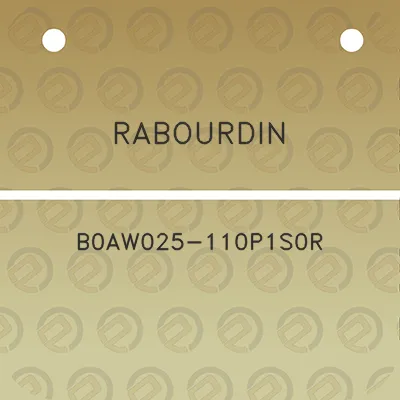 rabourdin-b0aw025-110p1s0r