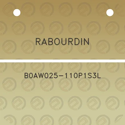 rabourdin-b0aw025-110p1s3l