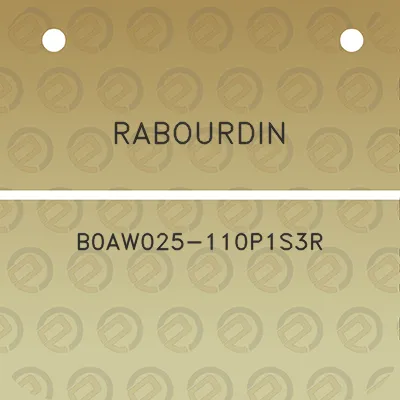 rabourdin-b0aw025-110p1s3r