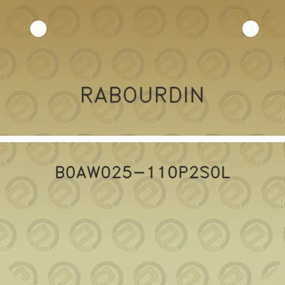 rabourdin-b0aw025-110p2s0l