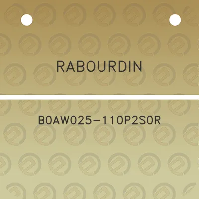 rabourdin-b0aw025-110p2s0r