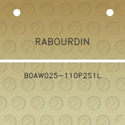 rabourdin-b0aw025-110p2s1l