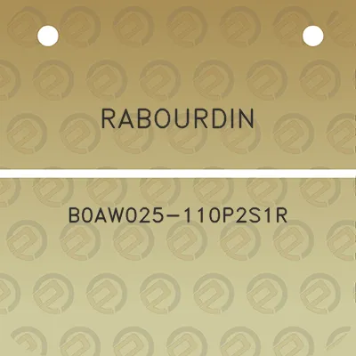 rabourdin-b0aw025-110p2s1r