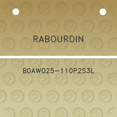 rabourdin-b0aw025-110p2s3l