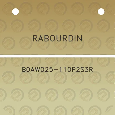 rabourdin-b0aw025-110p2s3r