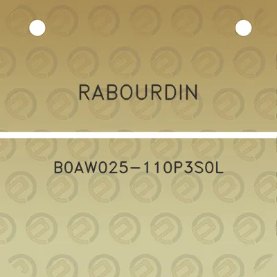 rabourdin-b0aw025-110p3s0l