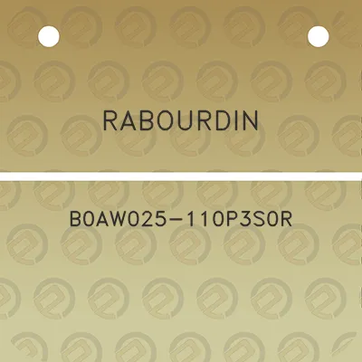 rabourdin-b0aw025-110p3s0r