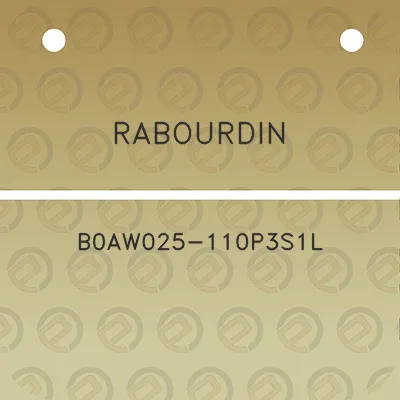 rabourdin-b0aw025-110p3s1l