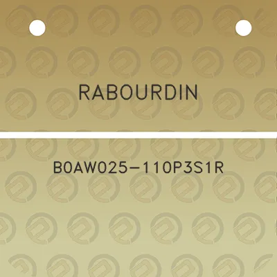 rabourdin-b0aw025-110p3s1r