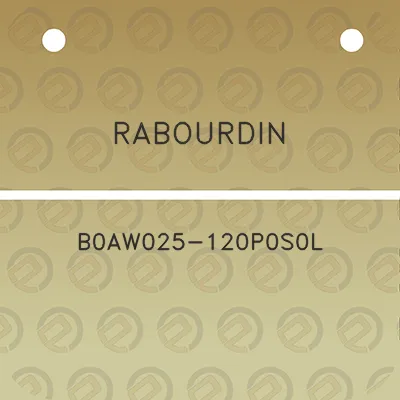 rabourdin-b0aw025-120p0s0l