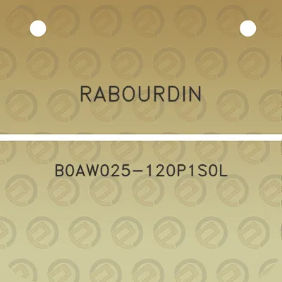 rabourdin-b0aw025-120p1s0l