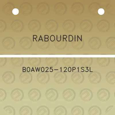 rabourdin-b0aw025-120p1s3l