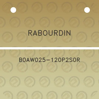 rabourdin-b0aw025-120p2s0r