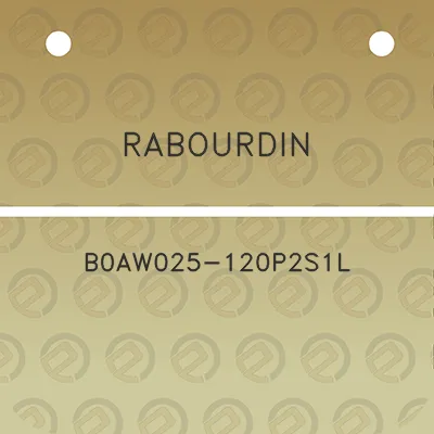 rabourdin-b0aw025-120p2s1l