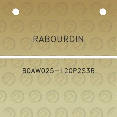 rabourdin-b0aw025-120p2s3r