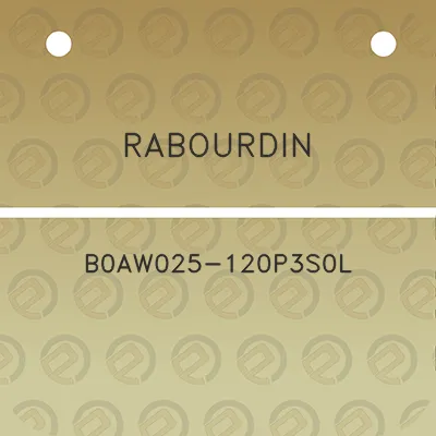 rabourdin-b0aw025-120p3s0l