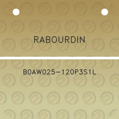 rabourdin-b0aw025-120p3s1l