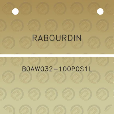 rabourdin-b0aw032-100p0s1l