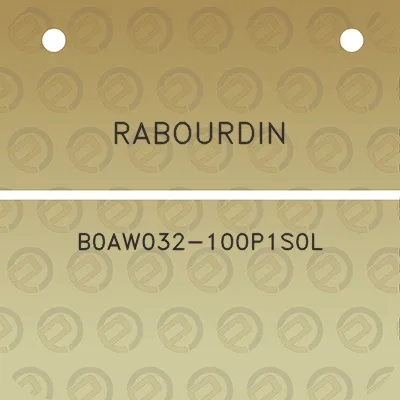 rabourdin-b0aw032-100p1s0l