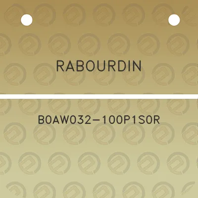 rabourdin-b0aw032-100p1s0r