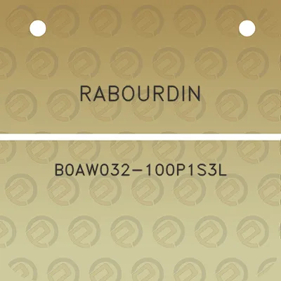 rabourdin-b0aw032-100p1s3l