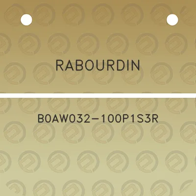 rabourdin-b0aw032-100p1s3r