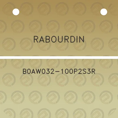 rabourdin-b0aw032-100p2s3r