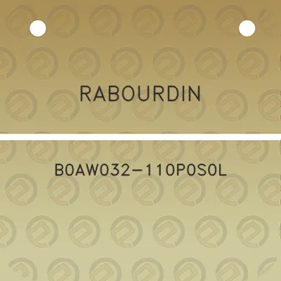 rabourdin-b0aw032-110p0s0l