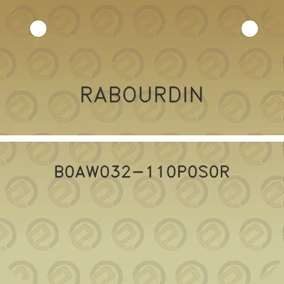 rabourdin-b0aw032-110p0s0r