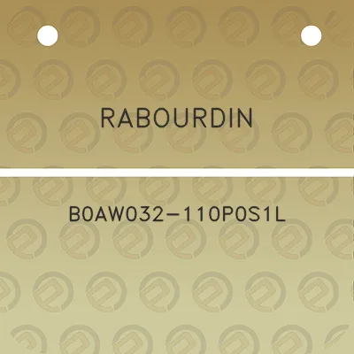 rabourdin-b0aw032-110p0s1l