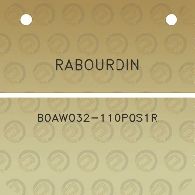 rabourdin-b0aw032-110p0s1r