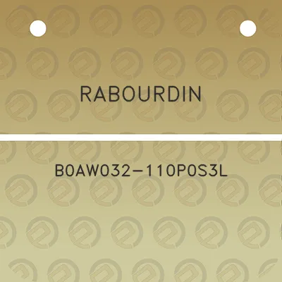 rabourdin-b0aw032-110p0s3l