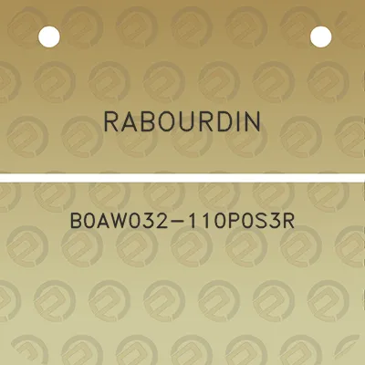 rabourdin-b0aw032-110p0s3r