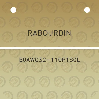 rabourdin-b0aw032-110p1s0l