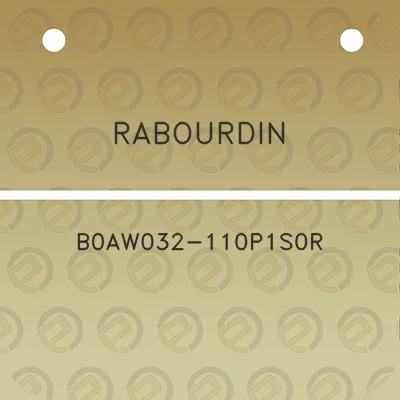 rabourdin-b0aw032-110p1s0r