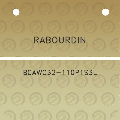 rabourdin-b0aw032-110p1s3l